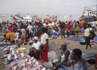 Environment - Think you know your fish - Geelbeck