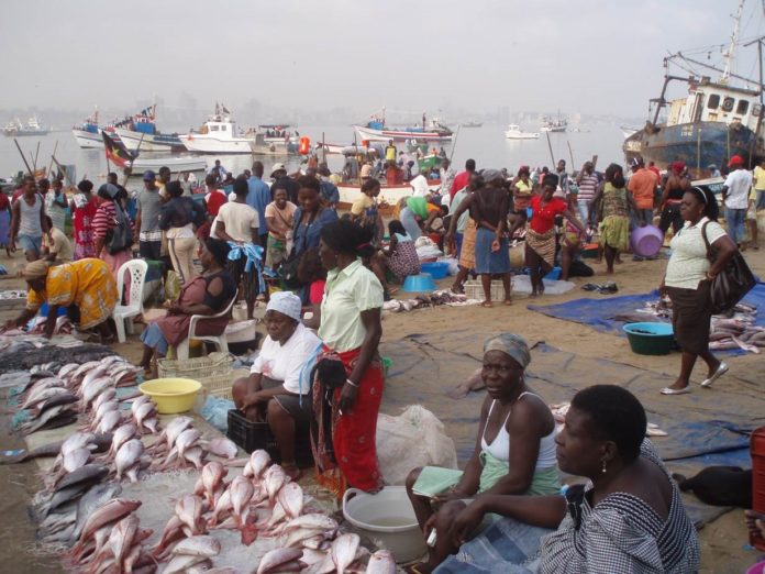 Environment - Think you know your fish - Geelbeck