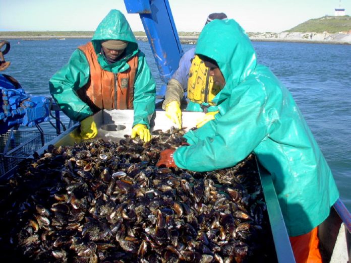 Spotlight on Africa and World Aquaculture Spotlight on Africa and World Aquaculture