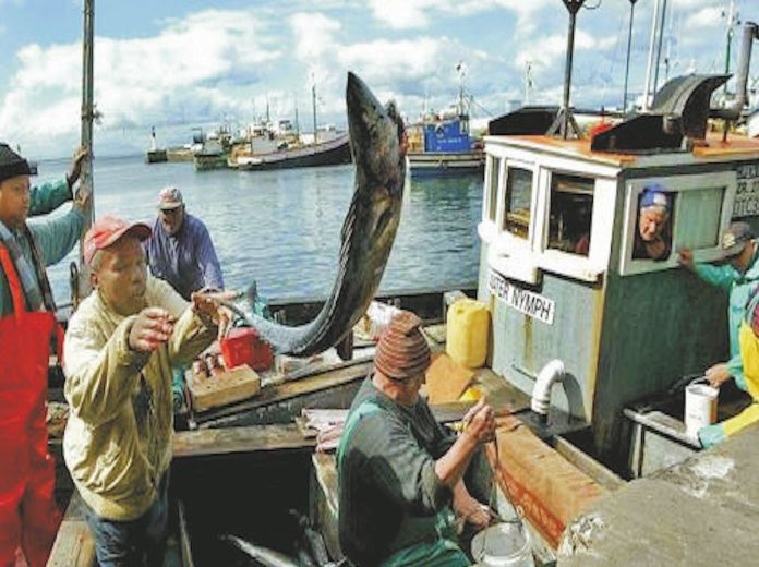 30 June Kalk Bay fish