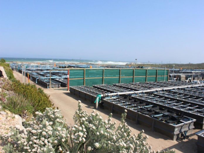 30 June Viking Aquaculture