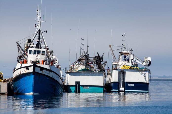 Fishing vessels tallie-10