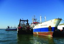 Another Swipe at Bottom Trawling