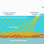 West Coast Seismic Survey Case Hearing This Week