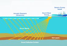 West Coast Seismic Survey Case Hearing This Week