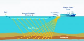 West Coast Seismic Survey Case Hearing This Week