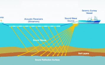 West Coast Seismic Survey Case Hearing This Week