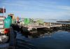 The Taste of Empowerment. Saldanha Mussel Farm Enjoys Upward Trend
