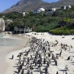 Have Your Say. Improving the Science-Media Communication Gap