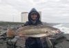 Big Catches. Foreshore Fishing Venue Opened