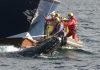 Ropeless Fishing Reduces Whale Entanglements – and the Costs