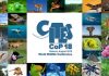 CITES. Global Biodiversity Deliberations Start