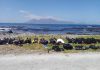 Poachers Arrested at Robben Island