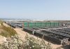 Aquaculture. First Self-Powering Fish Farm in SA