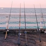 World Recreational Fisheries Conference Gets Underway