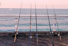 World Recreational Fisheries Conference Gets Underway