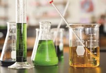 IFFO Conference in South Africa