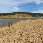 El Niño Could Test More than Crops – Know the Contractual Risks