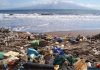 Litter-Filled Trawls Highlight the Ugly Truth