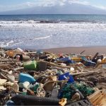 marine pollution