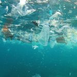 Let’s Get Serious About World Ocean Day