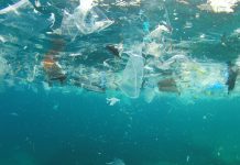 Let’s Get Serious About World Ocean Day