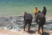 Artisanal Fishers Mourn the Loss of Traditions, Government Sees Opportunities