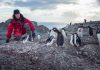 Penguin Monitoring Scholarship for Scientist