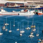 Sea Harvest Completes Ladismith Cheese Disposal