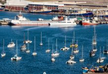 Sea Harvest Completes Ladismith Cheese Disposal