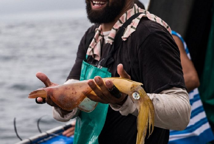 Squid fisherman