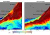 Marine Heatwave Causes Washup of Fish, Shellfish