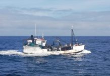 UPDATE. Small Pelagic Appeals and Permit Validity