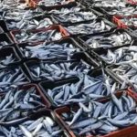 Sardine Precautionary Measure Still in Place