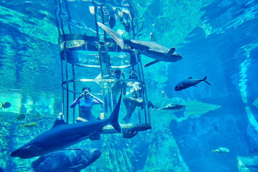 Bail Out for Durban's uShaka Marine Theme Park · Fishing Industry News