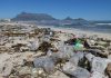 New Study Highlights the Environmental Plague of Plastic Bottles on Beaches