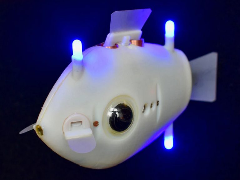 FishInspired Soft Robot Survives a Trip to the Deepest Part of the Ocean · Fishing Industry