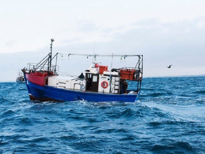 Squid vessel ref. GroundUp