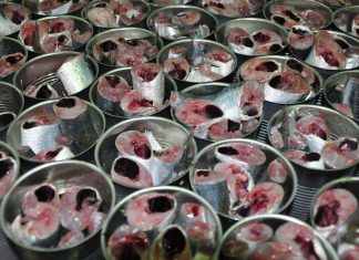 New Evidence Emerges in Sardine Mortality Investigation