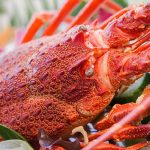 west coast rock lobster