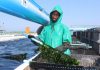 Joint Project Enhances Sustainable Development of Aquaculture in South Africa