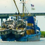 Oceana Delivers an Improved Performance