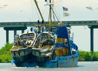 Oceana Delivers an Improved Performance