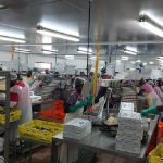 Life After the Clipboard – Modernising the Factory Floor