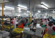 Life After the Clipboard – Modernising the Factory Floor