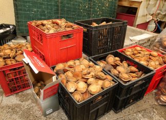 A Drop in the Ocean as Another Thirteen Arrested for Poaching