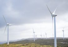 Energy Plan Outlines South Africa’s Potential for a Climate Friendly Future
