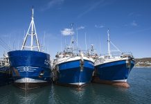 Brimstone sells stake in Oceana