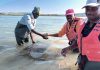 ‘Green Choice’ Fish Products Fresh From the Farm