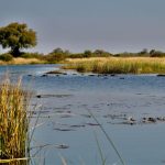 How Control of Water Shapes Power and Security in Africa